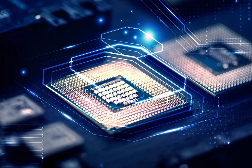 最强大脑郭菲蓉对陈智强谁赢了 最强大脑陈智强